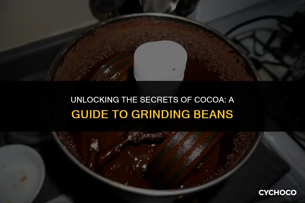 do i grind cocoa beans