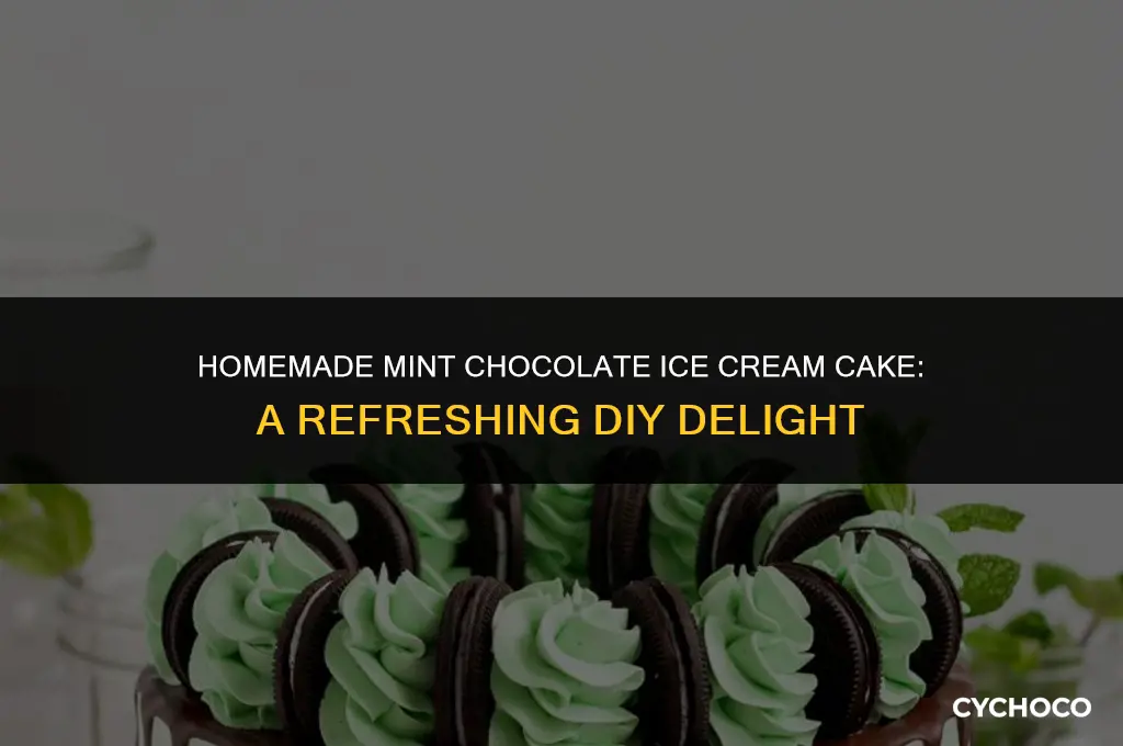 do it yourself ice cream cake mint chocolate