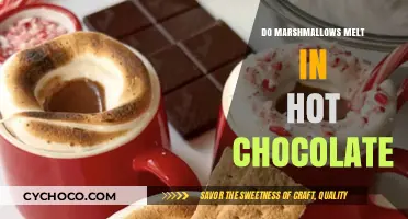 The Sweet Science: Do Marshmallows Really Melt in Hot Chocolate?