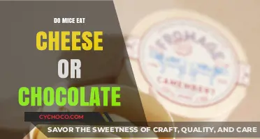 Mice's Gourmet Dilemma: Cheese or Chocolate?