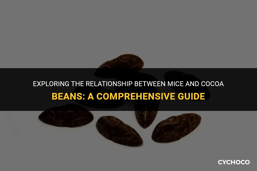 do mice like cocoa beans