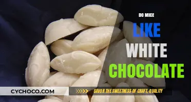 Sweet Tooth or Not: Do Mice Really Like White Chocolate?