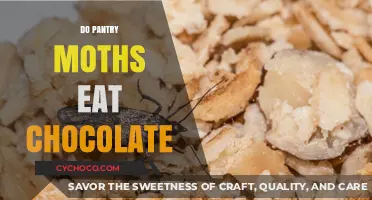 Deciphering Pantry Moths' Cravings: Chocolate on the Menu?