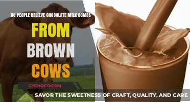 Debunking Dairy Myths: The Truth About Chocolate Milk's Origins