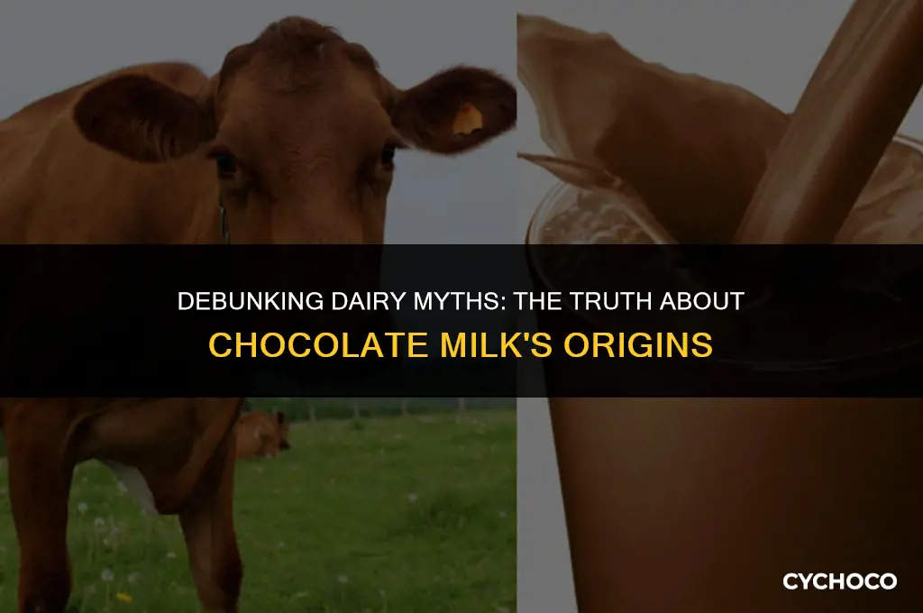 do people believe chocolate milk comes from brown cows