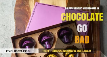 Exploring the Shelf Life of Psychedelic Mushroom Chocolates