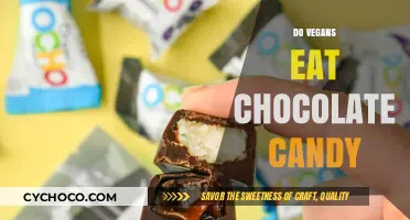 Sweet Treats for Vegans: Exploring Chocolate Candy Options