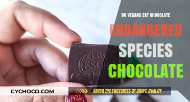 Decoding Vegan Chocolate: Endangered Species and Ethical Treats