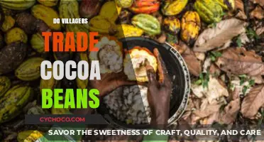 Exploring the Cocoa Trade: A Village Perspective