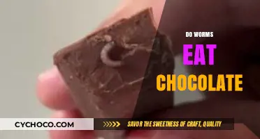 Sweet Treats for Slippery Critters: Do Worms Enjoy Chocolate?