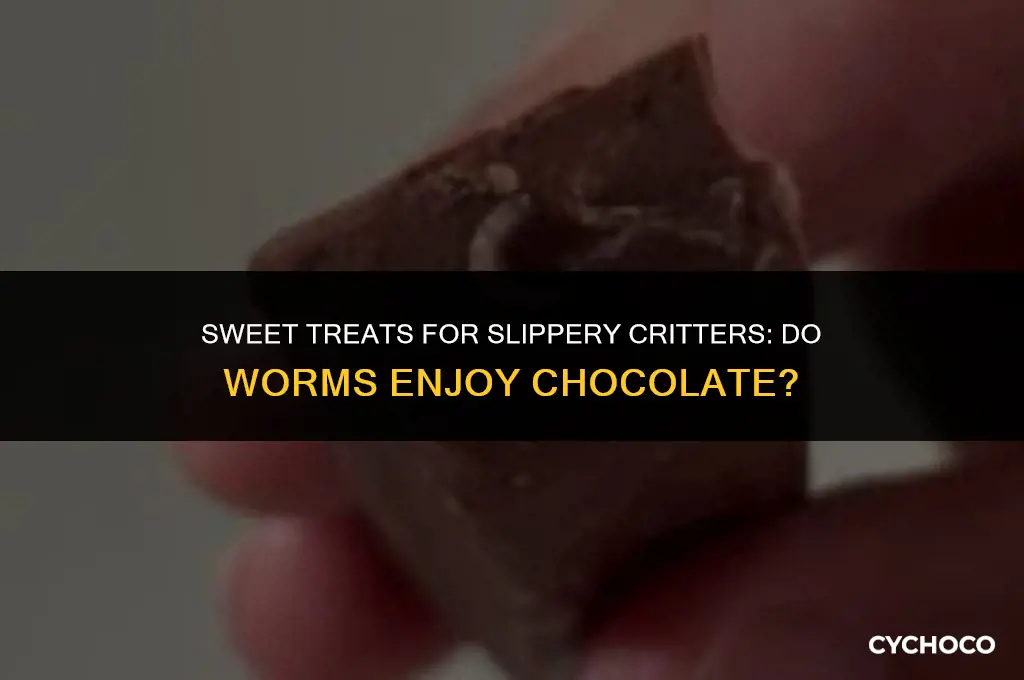 do worms eat chocolate
