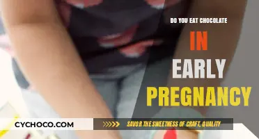Sweet Cravings and Baby Beginnings: Chocolate in Early Pregnancy