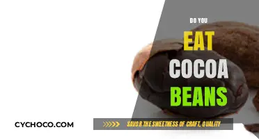 Exploring the Edibility and Uses of Cocoa Beans in Everyday Life