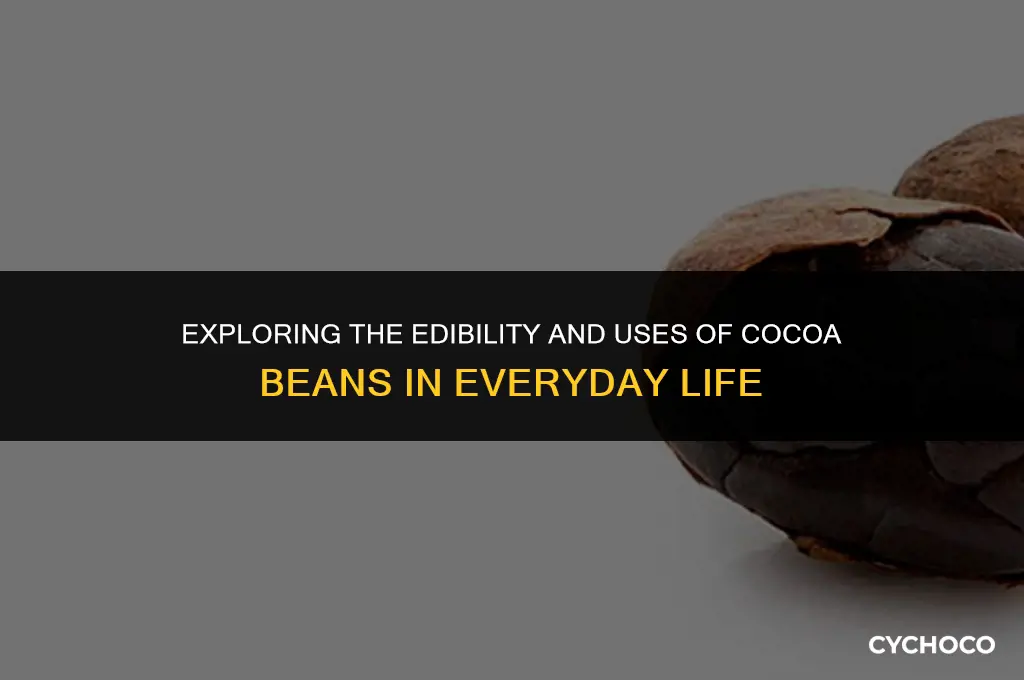 do you eat cocoa beans