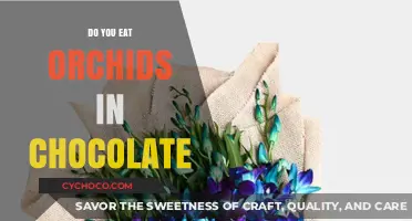Indulging in Elegance: The Surprising Delight of Chocolate-Dipped Orchids