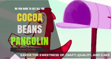 Decoding the Pangolin-Cocoa Connection: Myths and Realities Unveiled