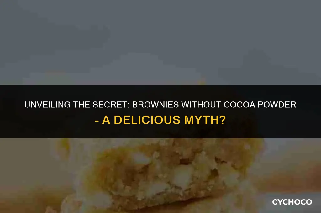 do you need cocoa powder to make brownies