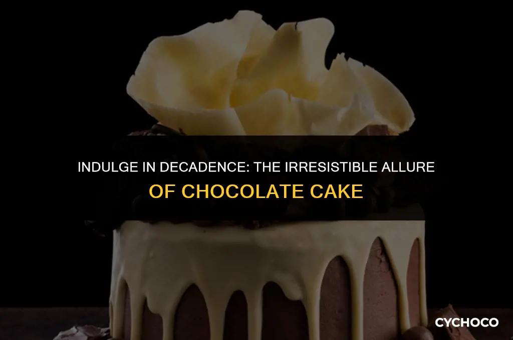 do you see this chocolate cake
