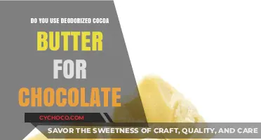 Sweet Secrets: Deodorized Cocoa Butter in Chocolate Making
