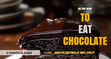 Indulge in Decadence: The Irresistible Allure of Chocolate Delight
