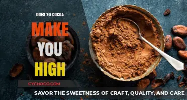 Exploring the Effects of 70% Cocoa: A Chocolate Lover's Guide