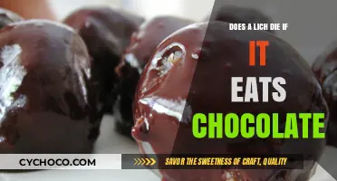 Sweet Curse: The Lethal Conundrum of Chocolate for Liches