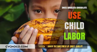 Ethical Concerns: Child Labor in Abuelita Chocolate Production?