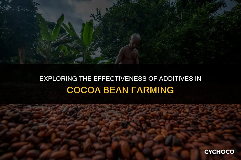 does actually additions farmer work for cocoa beans