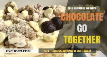 Sweet Harmony: Blueberry and White Chocolate Pairing Explored