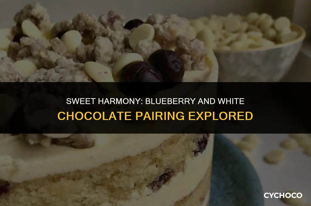 does blueberry and white chocolate go together