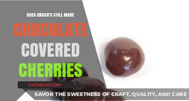Brach's Chocolate Covered Cherries: Are They Still Available?