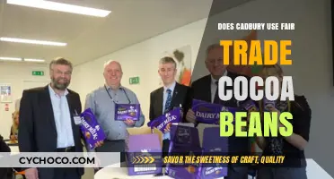 Unveiling Cadbury's Cocoa Sourcing: A Fair Trade Journey