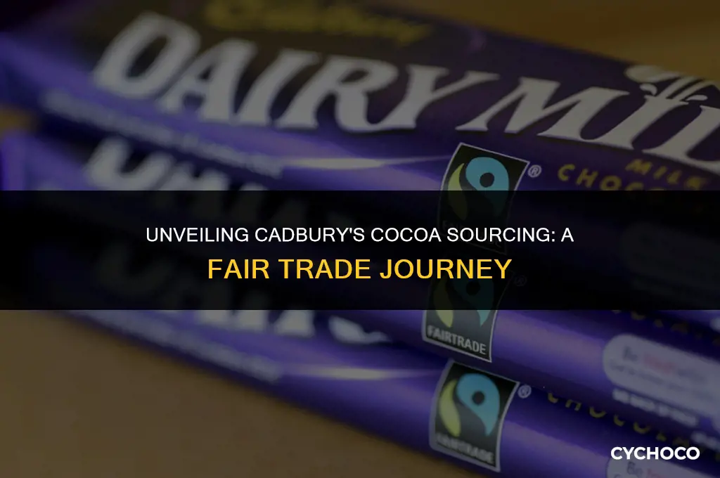 does cadbury use fair trade cocoa beans