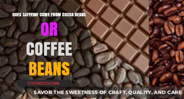 Unraveling the Myth: Caffeine's True Origins in Cocoa vs. Coffee Beans