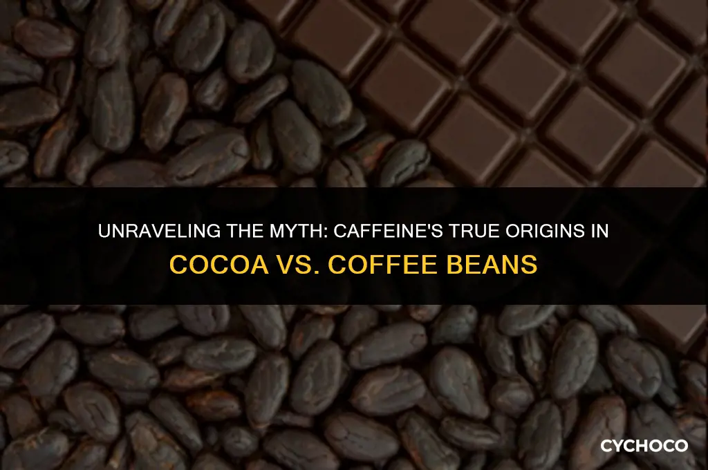 does caffeine come from cocoa beans or coffee beans