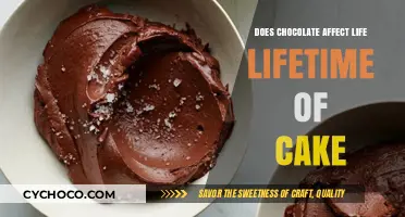 Sweet Lifespan: How Chocolate Influences Your Cake's Longevity