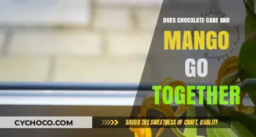 Sweet Harmony: The Surprising Pairing of Chocolate Cake and Mango