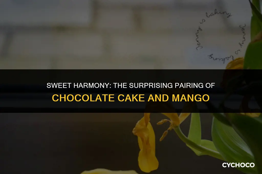 does chocolate cake and mango go together