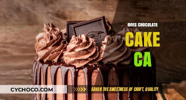 Indulgent Chocolate Cake: A Sweet Treat for Every Occasion