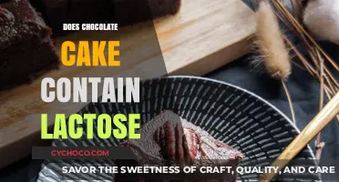 Decadent Dilemma: Unveiling the Lactose Content in Chocolate Cake