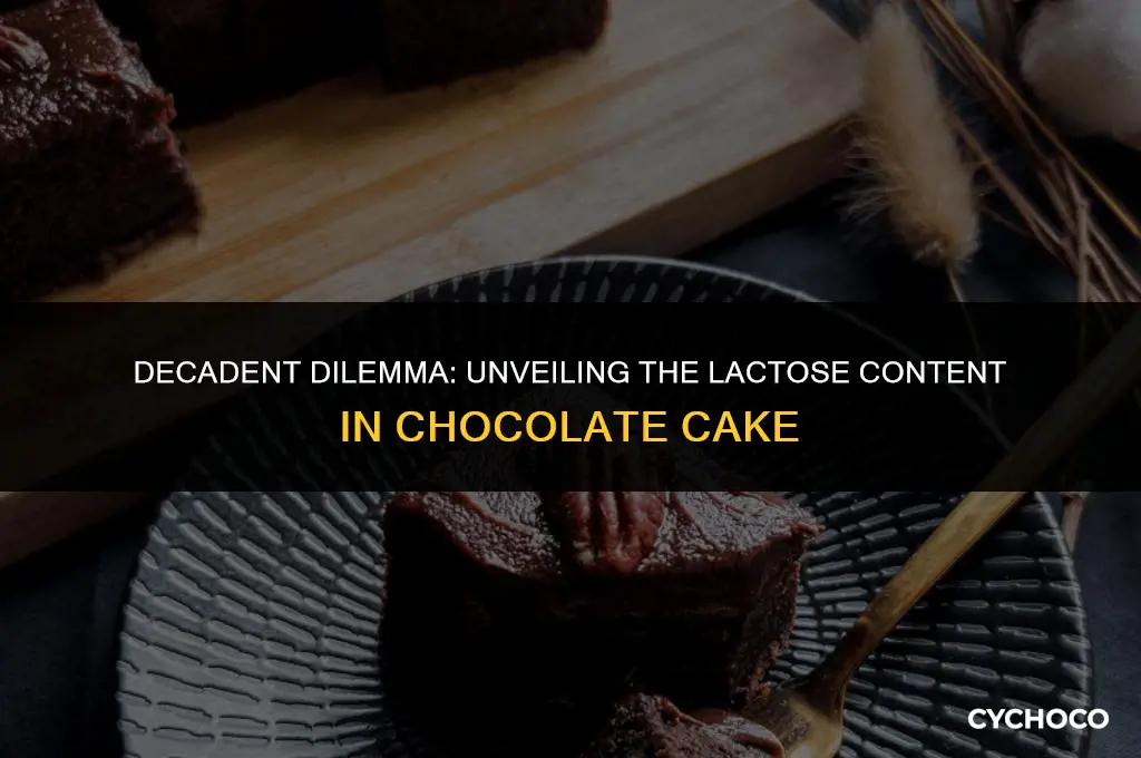 does chocolate cake contain lactose