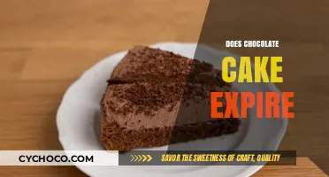 The Shelf Life of Chocolate Cake: Does It Really Expire?