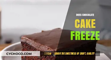 Sweet Success: The Ultimate Guide to Freezing Chocolate Cake