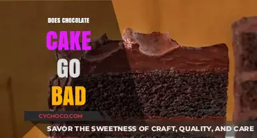 The Shelf Life of Chocolate Cake: Does It Really Go Bad?