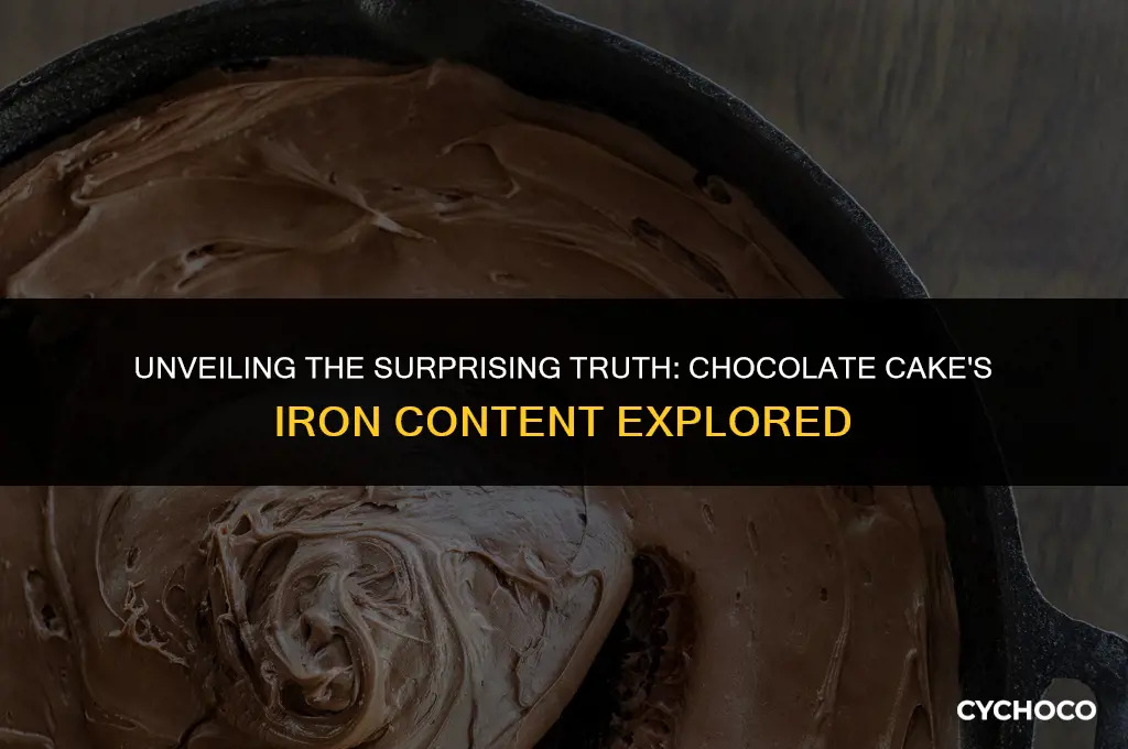does chocolate cake have iron