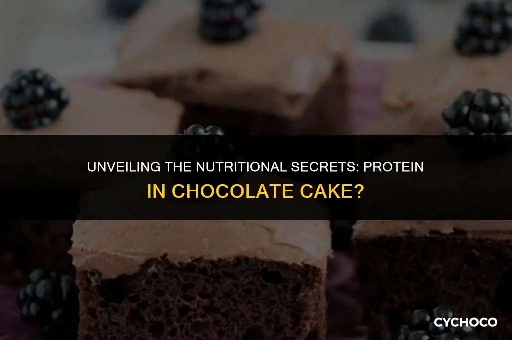 does chocolate cake have protein in it