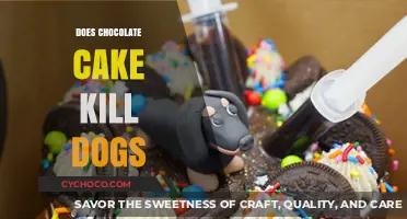The Deadly Danger of Chocolate Cake for Dogs: What You Need to Know
