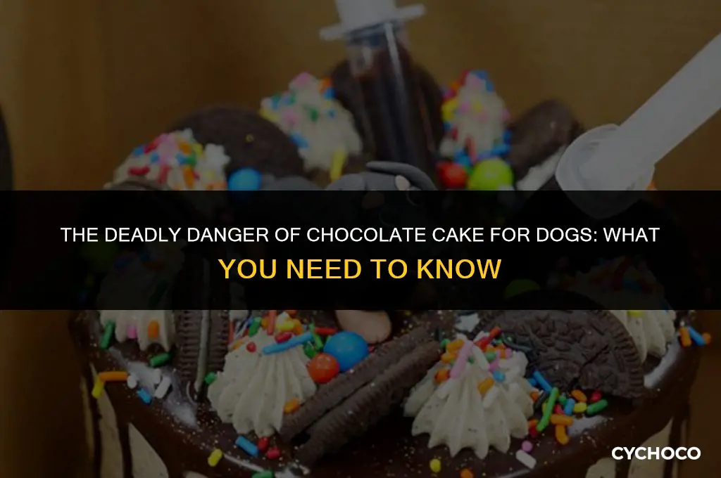 does chocolate cake kill dogs