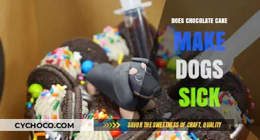 The Sweet Truth: Chocolate Cake's Impact on Canine Health