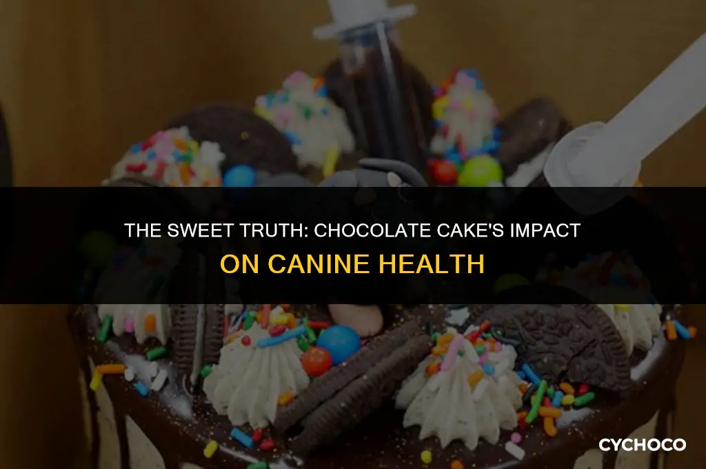 does chocolate cake make dogs sick